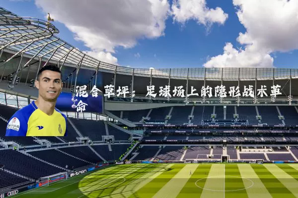 混合草坪:足球场上的隐形战术革命